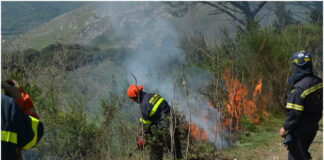 Campania in fumo, da inizio anno 236 incendi scoppiati: distrutti 653 ettari di suolo forestale