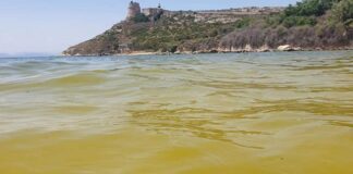 Mondragone, risultati confortanti dalle analisi: l’acqua gialla causata da alghe non tossiche