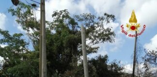 Sterpaglie e rifiuti in fiamme, vigili del fuoco in azione a Maddaloni