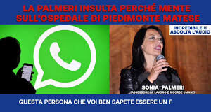 Regionali, l’assessore Palmeri ricopre di sterco Zinzi: si dimetta o De Luca la revochi all’istante. Accuse offensive per tutti i casertani