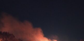 Caserta e Napoli in cenere, circa cento incendi al giorno. Cittadini costretti a chiudersi in casa