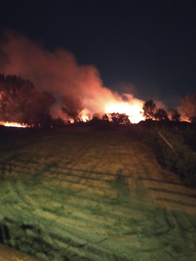 Caserta e Napoli in cenere, circa cento incendi al giorno. Cittadini costretti a chiudersi in casa