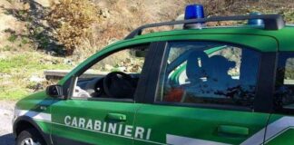 Un 58enne ritrovato senza vita nel Casertano, era in prossimità di una barca che condivideva con un amico