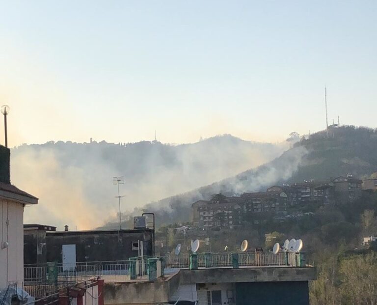 Incendio di vaste proporzioni ai Camaldoli, in azione numerose pattuglie dei vigili del fuoco