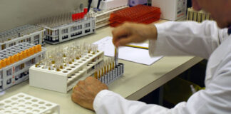 “Dammi la tua mano, tutto pesa la metà”, spettacolo di beneficenza ad Aversa per la ricerca sui tumori cerebrali infantili