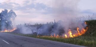 Fiamme alte a Caserta, a fuoco rifiuti e sterpaglia in Via Falcone e Viale Borsellino