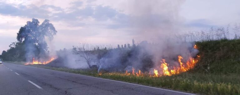 Fiamme alte a Caserta, a fuoco rifiuti e sterpaglia in Via Falcone e Viale Borsellino