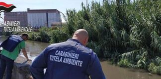 Scarichi abusivi nel fiume Sarno, sigilli dei carabinieri a quattro aziende