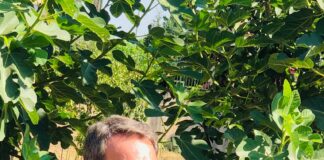 Cesa, decisione del sindaco Guida: uffici comunali chiusi al pubblico