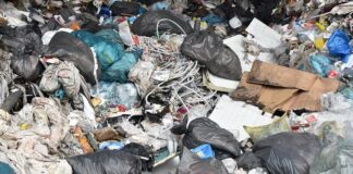 Gestione dei rifiuti e raccolta differenziata: Campania al di sotto della media nazionale, molto bene Avellino al 72%