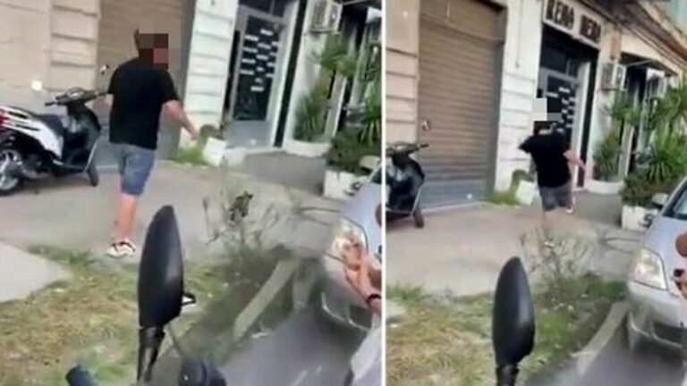 Casoria, video con gattino ucciso a calci: denunciato un minorenne. Più che un ragazzino è una bestia
