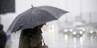 Forti temporali e grandinate nel Beneventano, danni a vigneti e disagi alla circolazione stradale