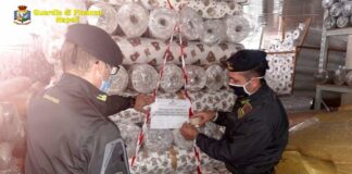 Prodotti con marchi contraffatti: tre denunciati tra Ottaviano e San Giuseppe