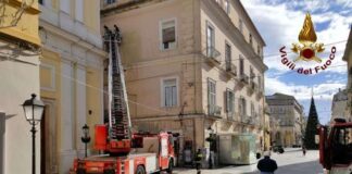 Reggia di Caserta. Cade albero di alto fusto ed abbatte il muro di recinzione in via Passionisti