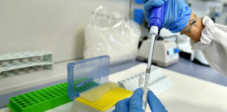 Coiv-19, Comune per comune, ecco i nuovi dati dela provincia di Caserta