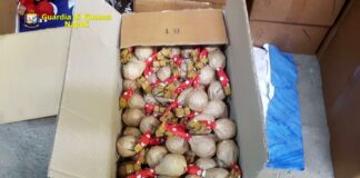 Irruzione della Finanza in due capannoni di Melito: sequestrati botti illegali e 600 litri di gasolio di contrabbando