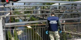Controlli lungo i Regi Lagni, tredici persone denunciate e multe per 51mila euro