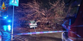 Parco Cerasole di Caserta, albero cade su auto in transito: illese mamma con i suoi figli
