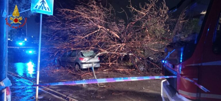 Parco Cerasole di Caserta, albero cade su auto in transito: illese mamma con i suoi figli