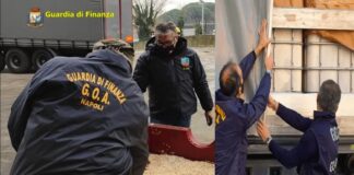 Sedici tonnellate di sostanze stupefacenti trasportate a Ravenna, dalla Guardia di Finanza, per essere distrutte