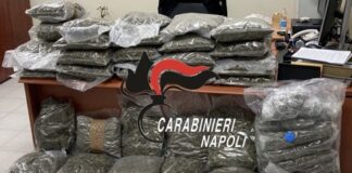 Carabinieri in azione a Giugliano e Lusciano, sequestrati 58 chili di marijuana: due persone arrestate
