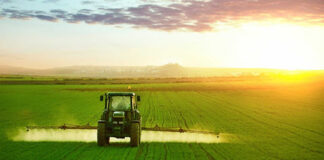 Agricoltura, Caputo stoppa proposta Regioni Nord: la Campania e il Mezzogiorno non possono pagare un prezzo così alto