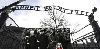 La Giornata della Memoria: ecco i numeri della cattiveria e delle atrocità da non dimenticare mai