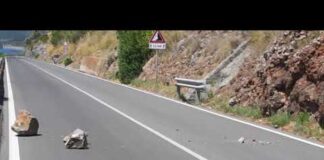 Sapri: massi sulla Statale 18, intervento dei tecnici Anas, ripristinata la circolazione