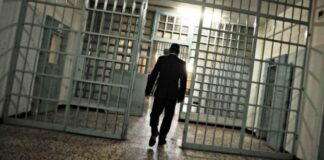 Il silenzio assordante di Cesa in Comune, le fecce che hanno goduto su di me e il pieno appoggio dei cittadini