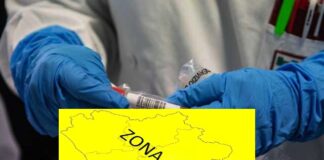 Studio campano: nella nostra regione variante inglese responsabile del 25 per cento dei casi covid