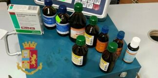 Trovato a vendere medicinali su di un banchetto in via Pica, denunciato 24enne