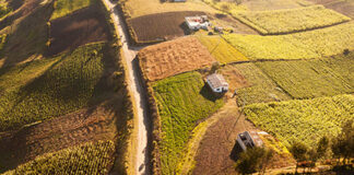 Sviluppo rurale, parte il Cnpa. L’assessore regionale Caputo: “Verso New Deal dell’agricoltura in Campania”