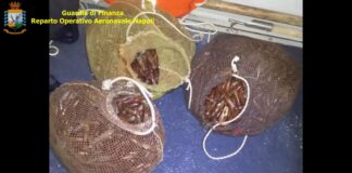 Pesca e commercio illegale di datteri con danni ai Faraglioni e al Porto di Napoli: 19 misure cautelari