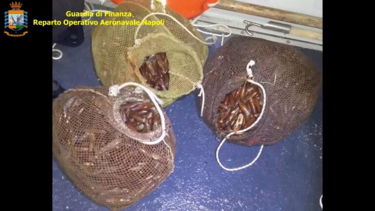 Pesca e commercio illegale di datteri con danni ai Faraglioni e al Porto di Napoli: 19 misure cautelari