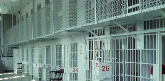 Carcere di Avellino, il cane antidroga fiuta l’hashish nella cintura dell’accappatoio di un detenuto