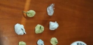 Napoli, cocaina nascosta tra il bucato: arrestato 44enne