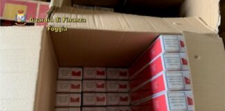 Campania-Puglia, contrabbando di alcol e sigarette: sette persone arrestate, quindici denunciate. Sequestrati anche 660 grammi di cocaina