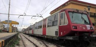 Circumvesuviana: albero cade in prossimità dei binari, circolazione ferma lungo la linea Nola-Cicciano