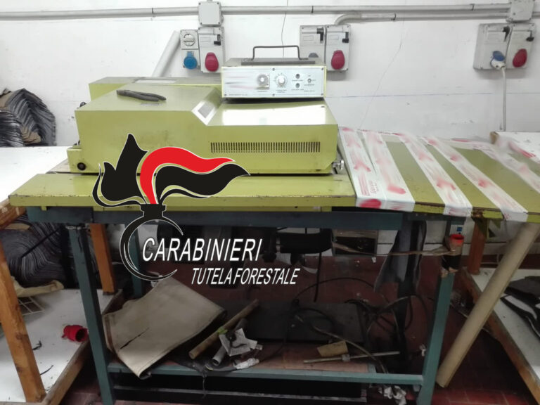 Smaltimento illecito di acque reflue, denunciati 29 titolari di opifici tra Napoli e Caserta