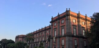 Fine settimana del Primo maggio: cinema, musei e passeggiate!