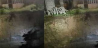 Rione sanità: ancora una voragine lungo le strade di Napoli, per fortuna nessun ferito