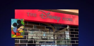 Nemmeno Topolino ‘sorride’ più, anche la Disney via da Napoli: lavoratori in piazza con i propri figli!!!