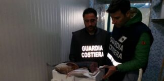 Sorrento: sequestrate oltre due tonnellate di prodotti ittici