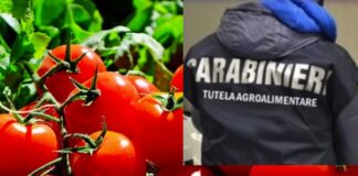 Agro nocerino: sequestrate 821 tonnellate di pomodoro semilavorato, denunciati due imprenditori