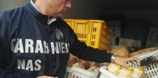 Mariglianella, sequestrata una tonnellata di alimenti tenuti in condizioni igieniche precarie