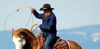 Tragico incidente stradale, muore il maestro di equitazione Giuseppe Di Cerbo