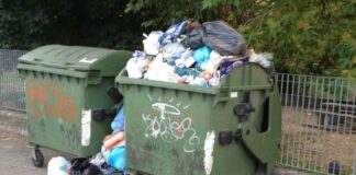 Vergogna a Pompei, cagnolino morto gettato tra i rifiuti. Appello social di chi lo ha trovato. “Se non amate gli animali non prendeteli”