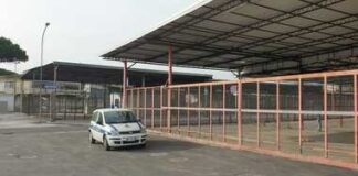 Aversa, mercato ortofrutticolo ancora off-limits per la metà degli operatori commerciali. E l’assessore Sagliocco fa propaganda