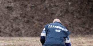 TUTTI I NOMI Operazione del Noe di Salerno, arrestati 14 operai assenteisti nell’ex discarica di Padula