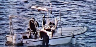 Pescatori di frodo sorpresi nel Regno di Netturno a Ischia e Procida, sequestrati 8 fucili